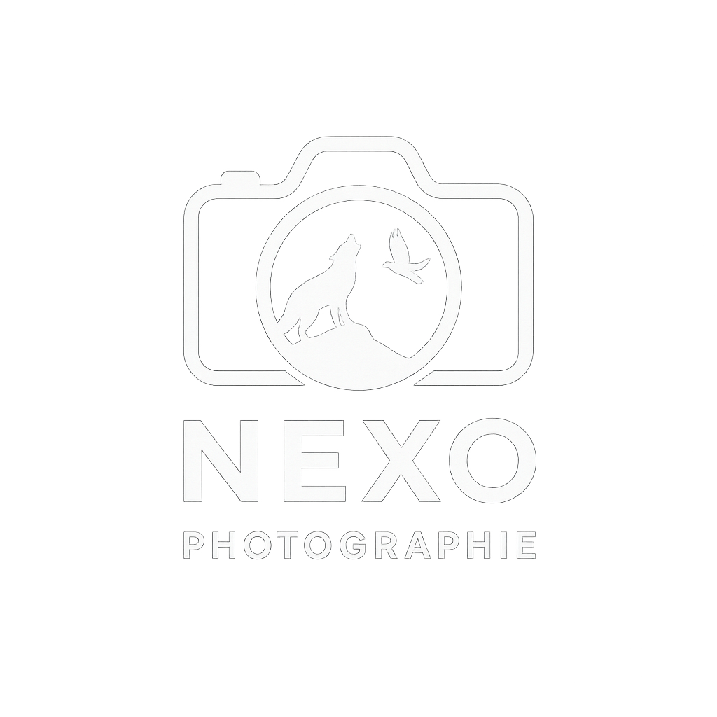 Nexophotographie